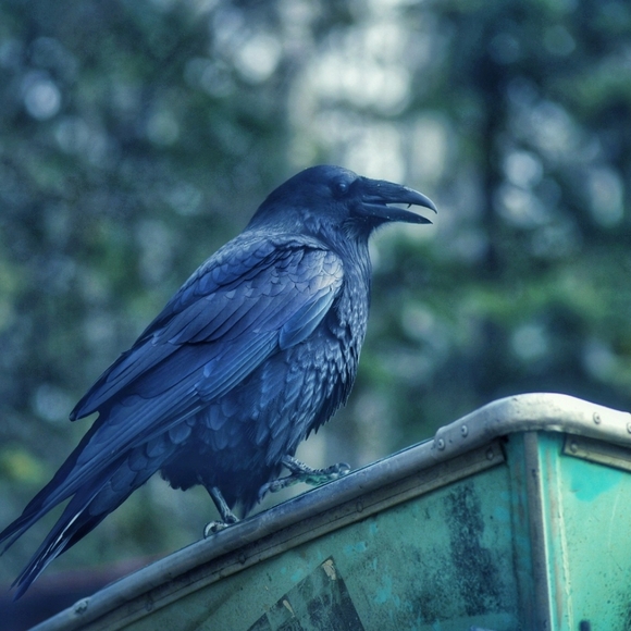 Meet your Posher, Priska - Picture 1 of 1